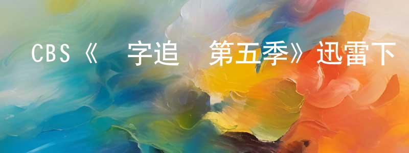 褚冰的個人主頁,CBS《數字追兇第五季》迅雷下載/在線觀看/百度云-犯罪/歷史載-美劇天堂